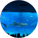 Rebecca Berg Rebecca Berg